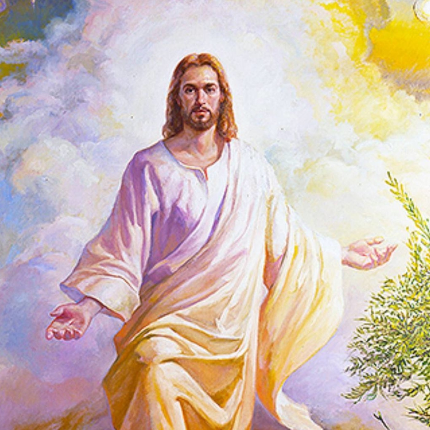 Meditaciones Padre Tadeo