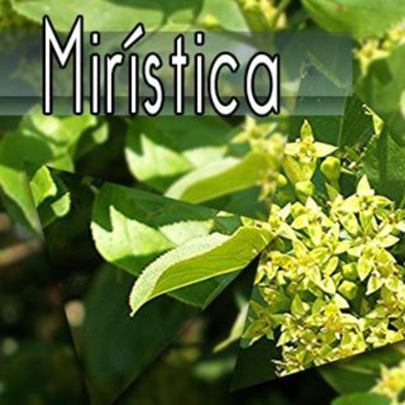El Ángel de tu Salud -MIRÍSTICA