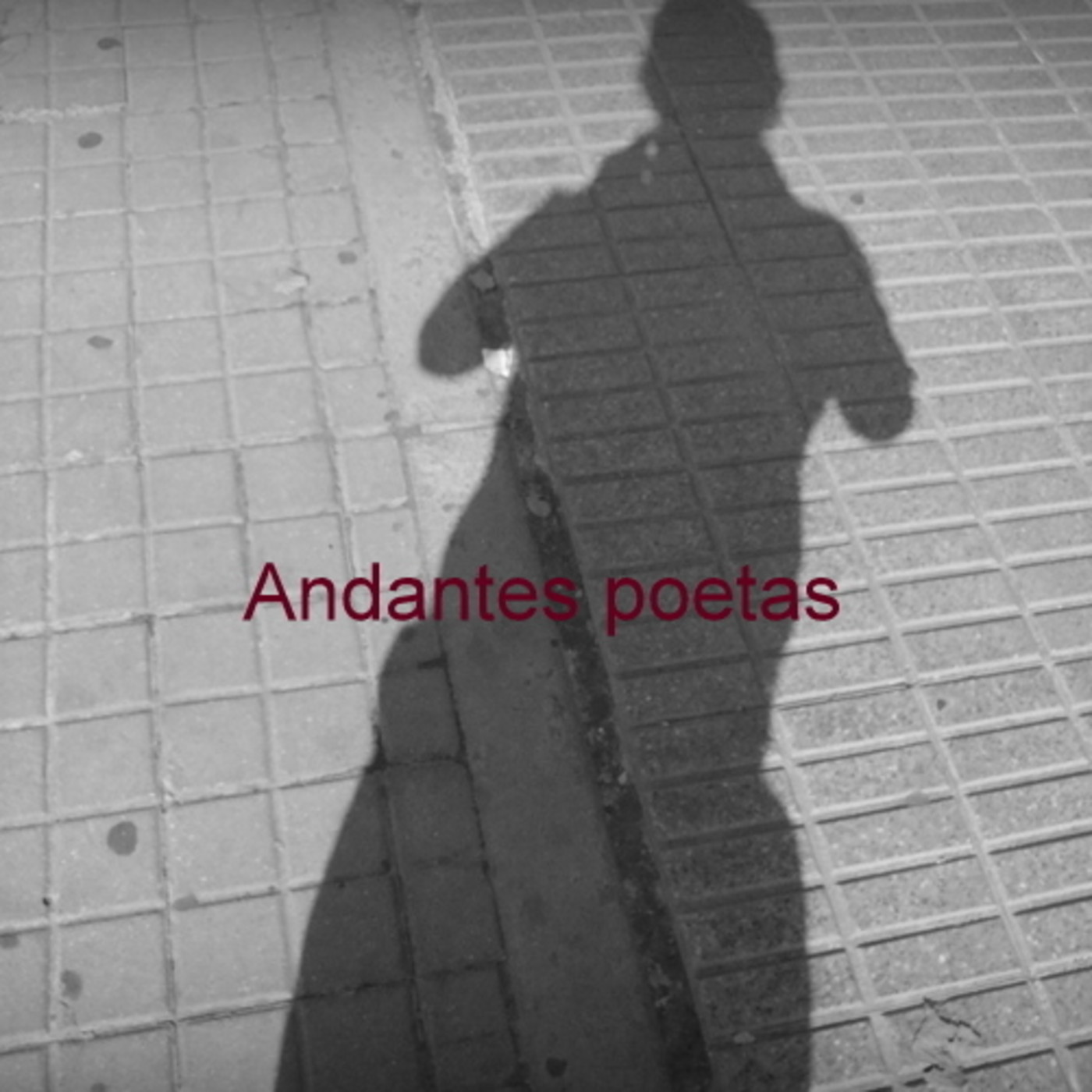 Andantes Poetas