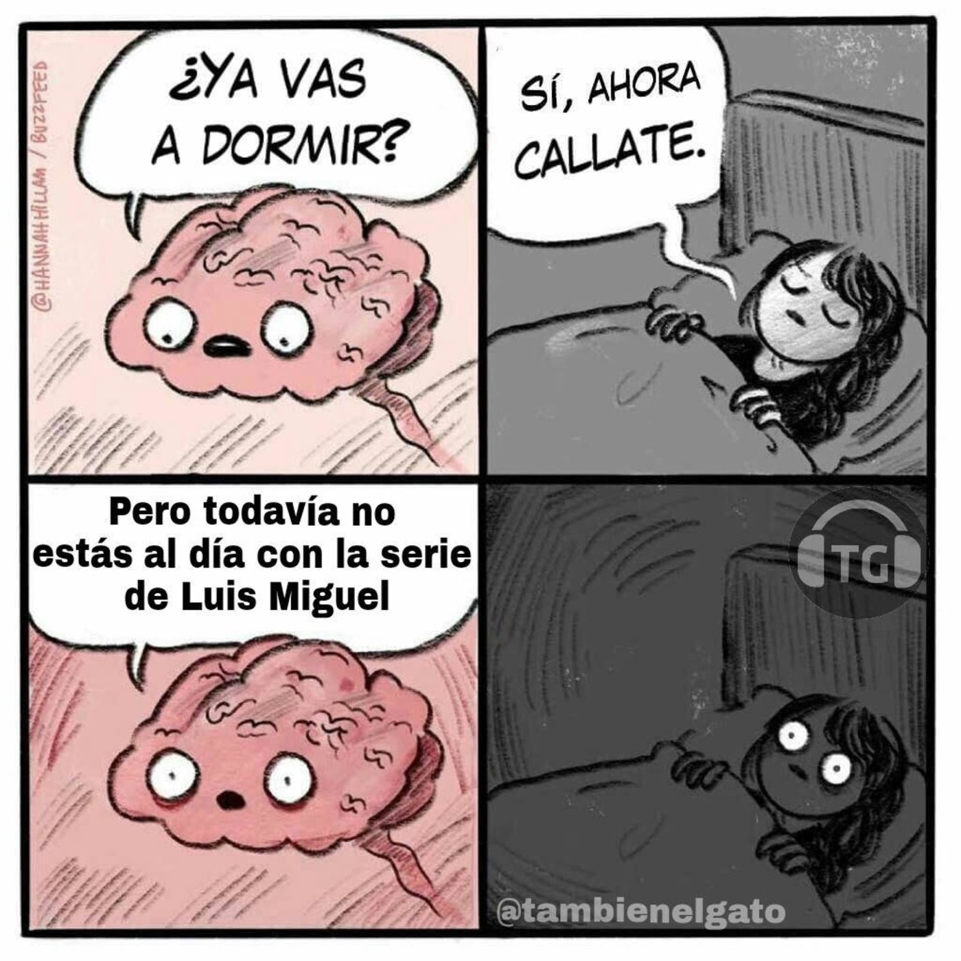 También el gato