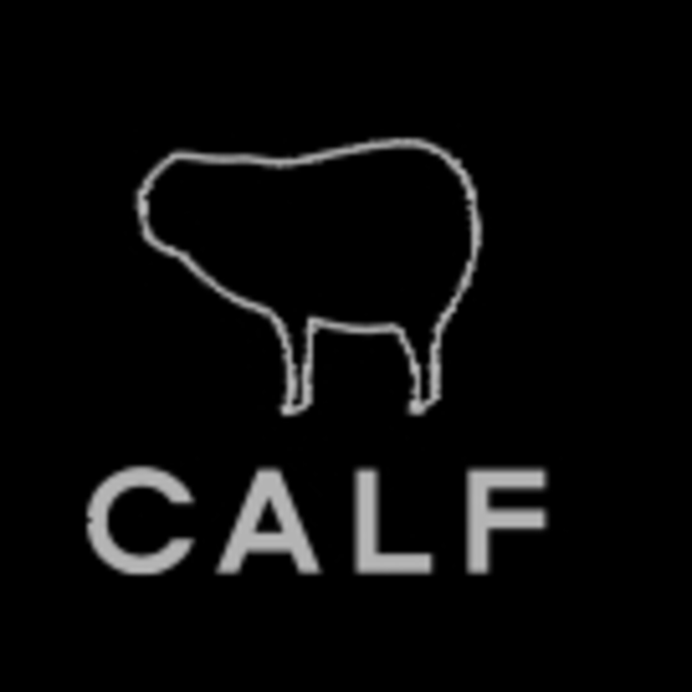 Colectivo CALF: anime experimental y poesía