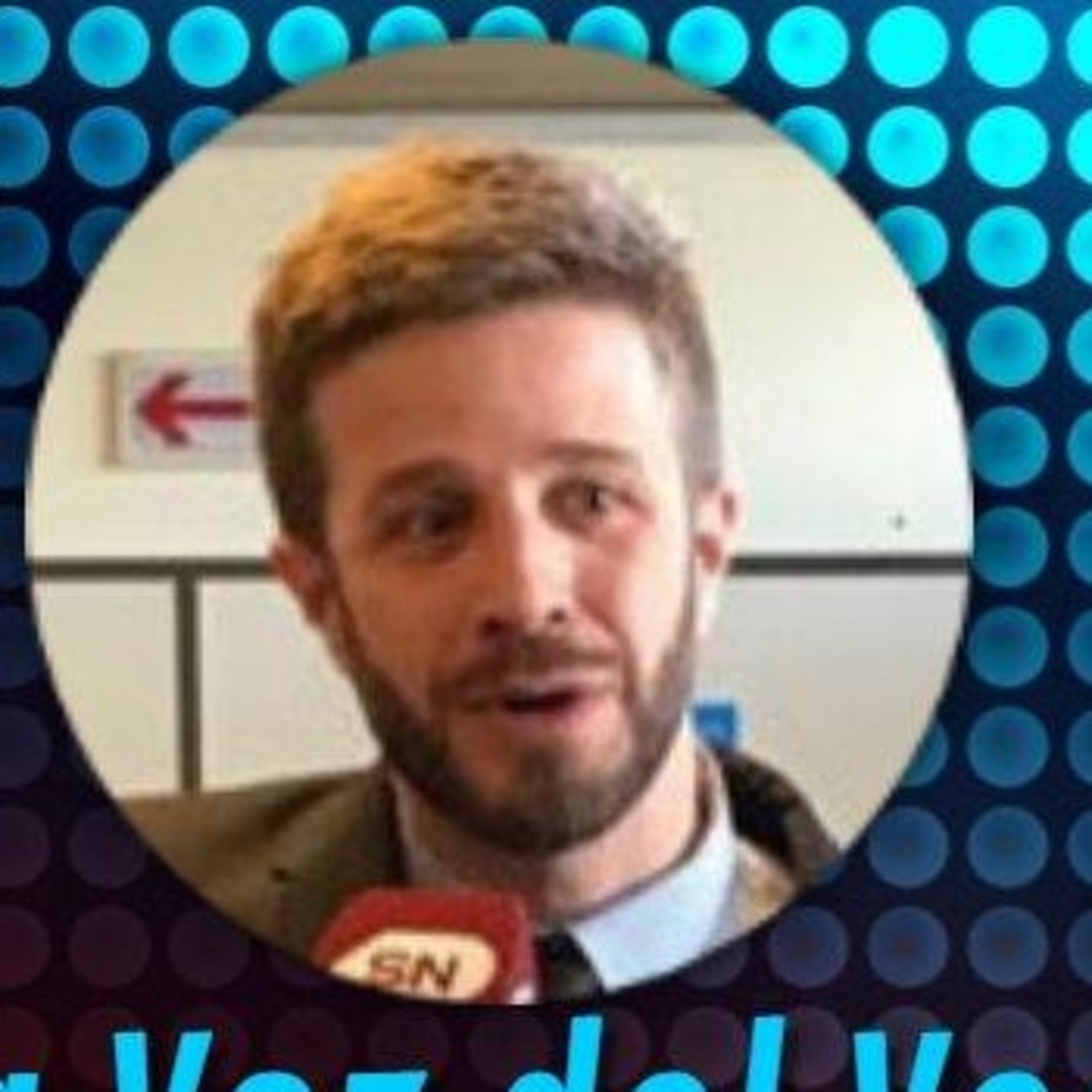LA VOZ DEL VECINO DE AVELLANEDA
