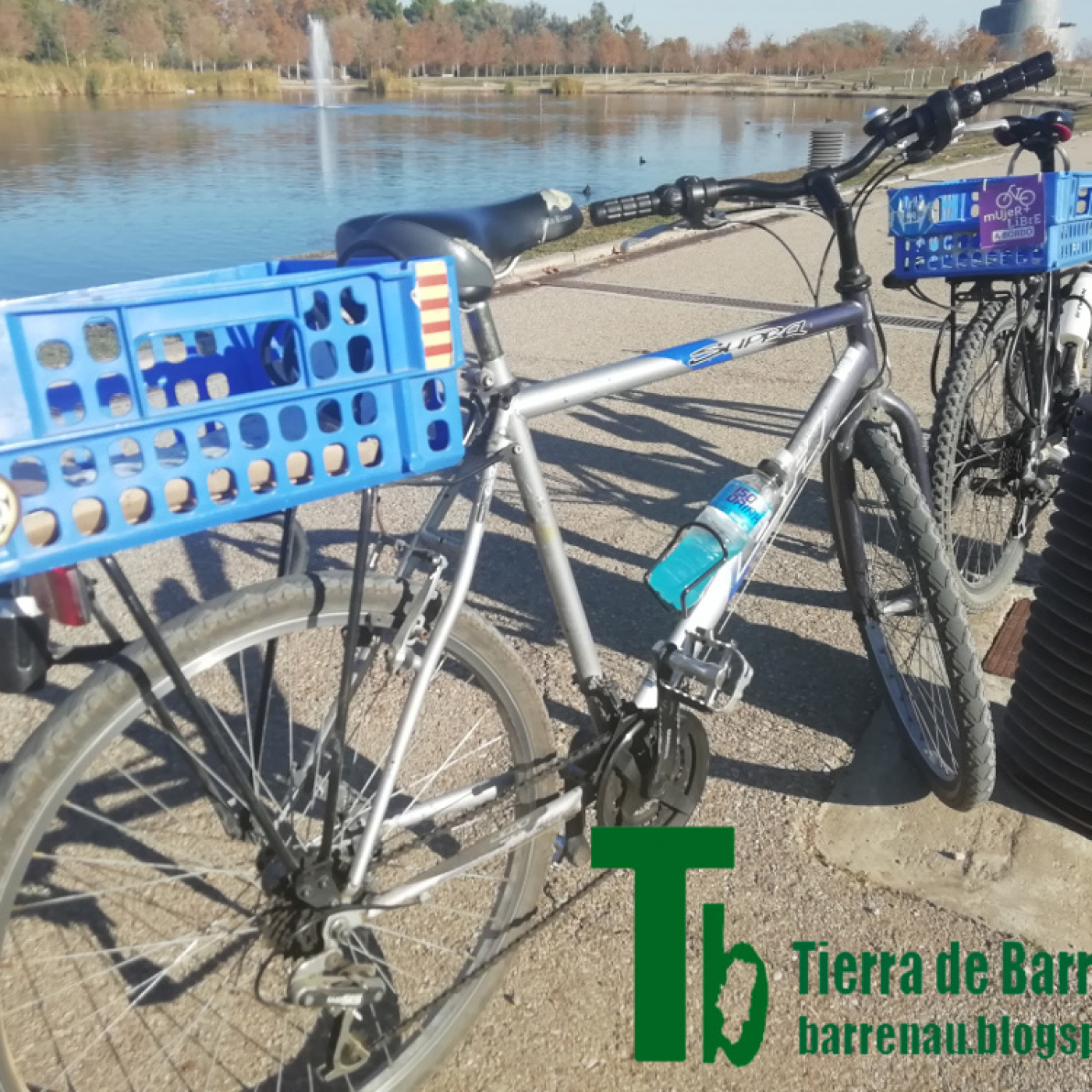 Tierra de barrenaus