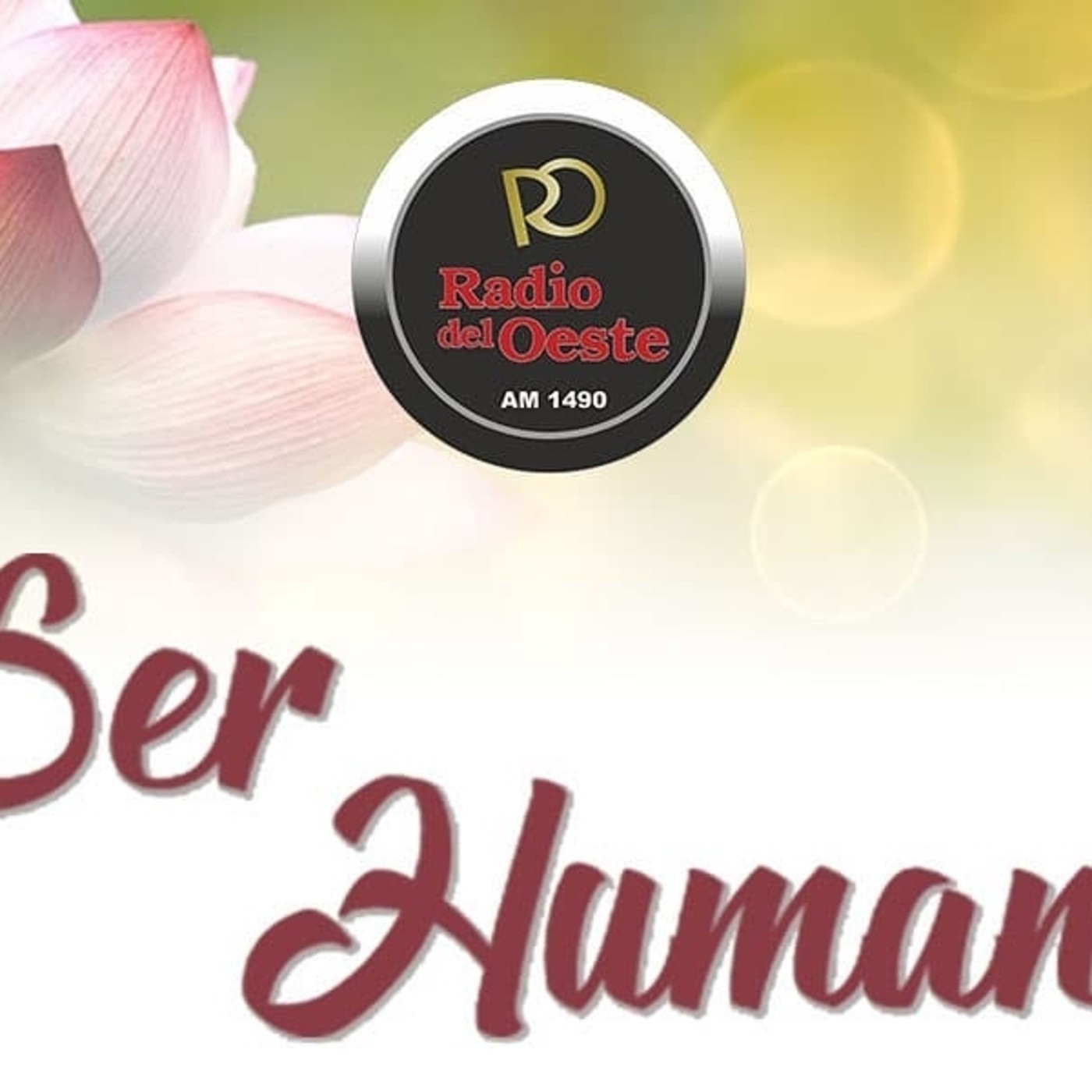 escueladereikiamanecer