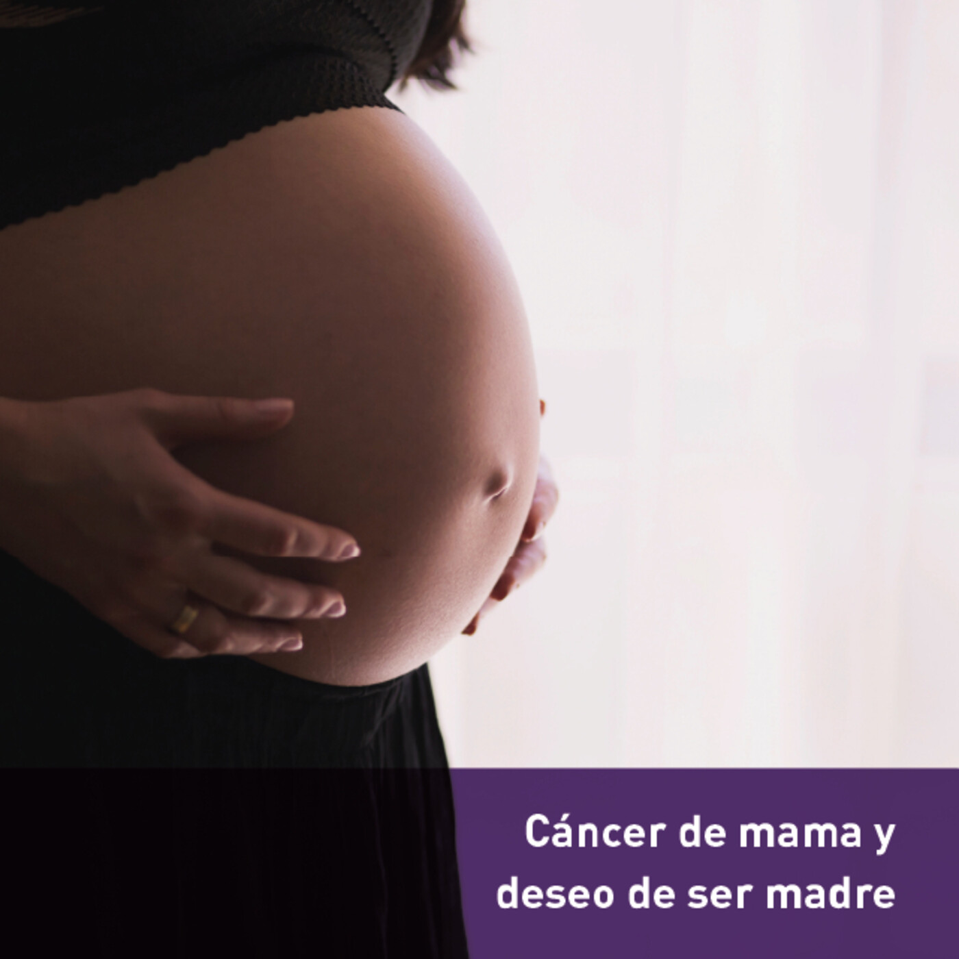 GEICAM T-Habla