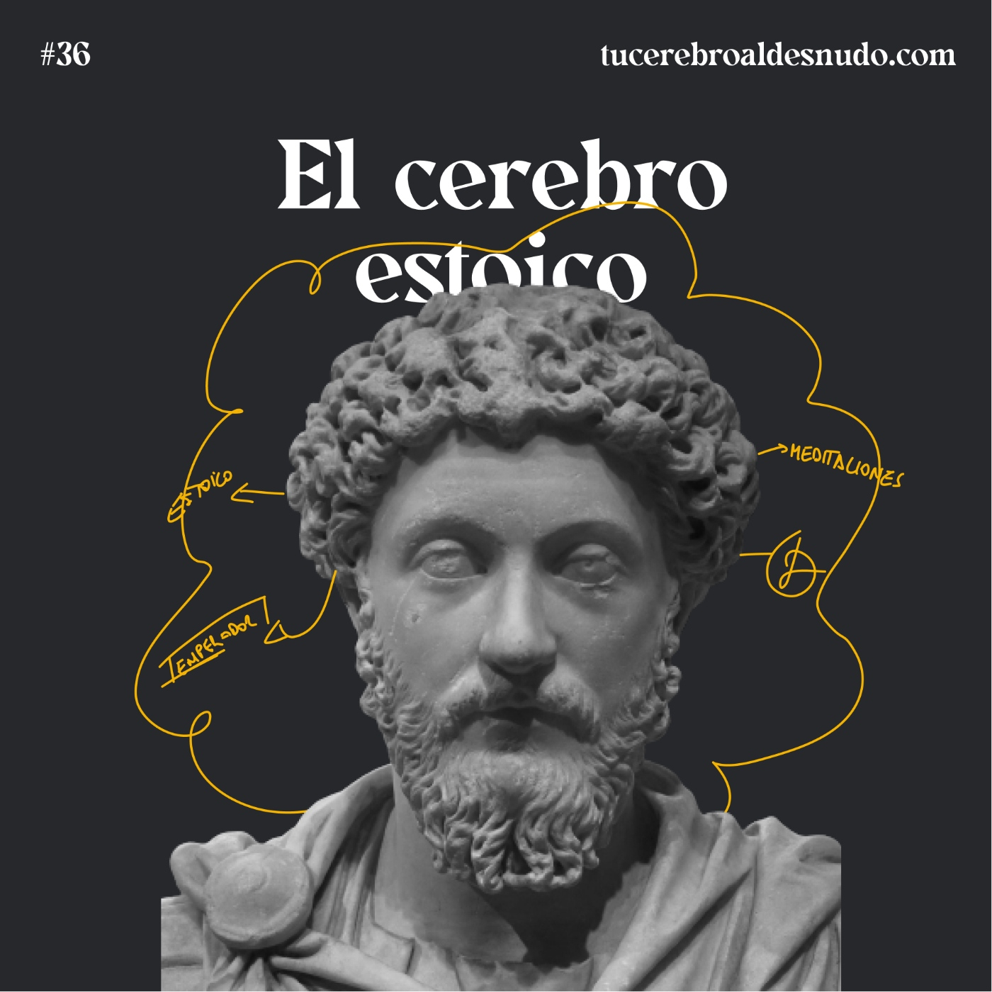 Cerebro Injodible®
