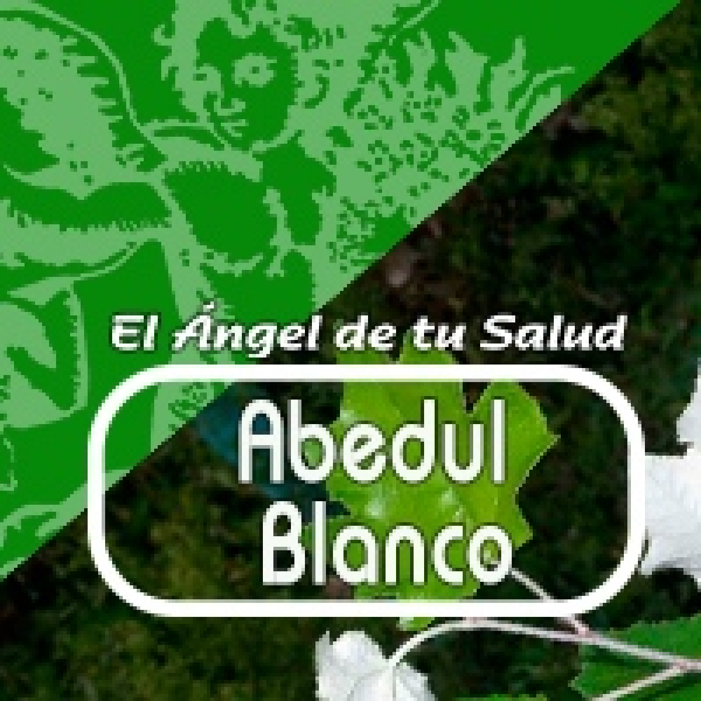 El Angel de tu Salud - ABEDUL BLANCO*** episode artwork