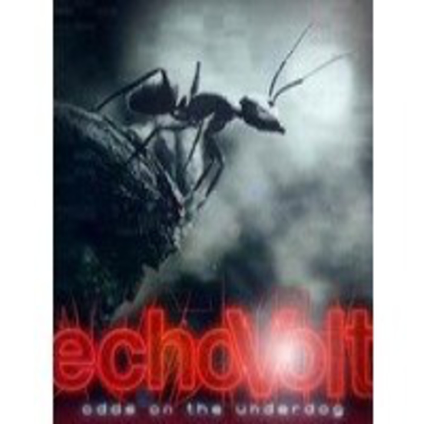 Rockcircus.net - Entrevista a Echovolt (2012) episode artwork