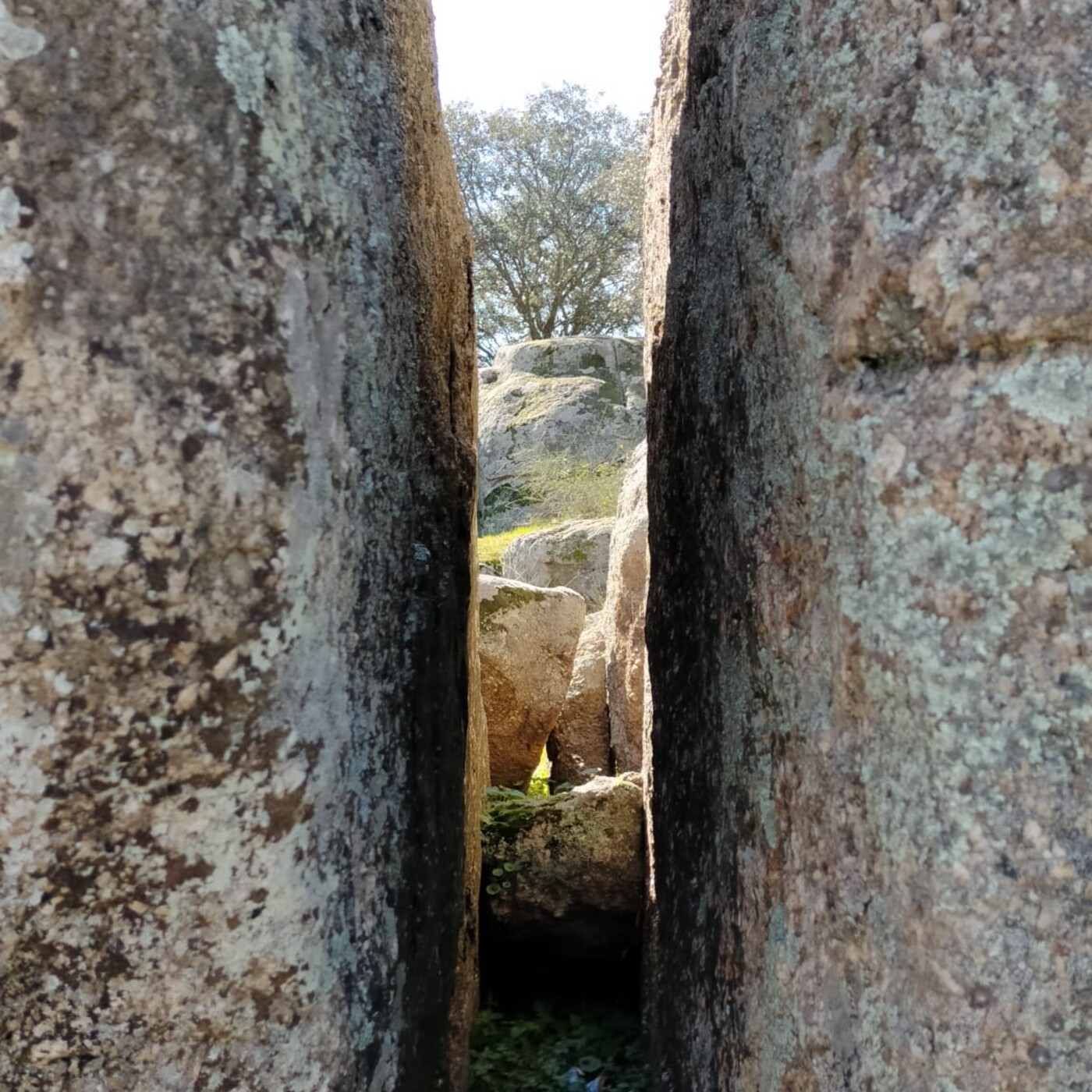 Sendero a la Nada