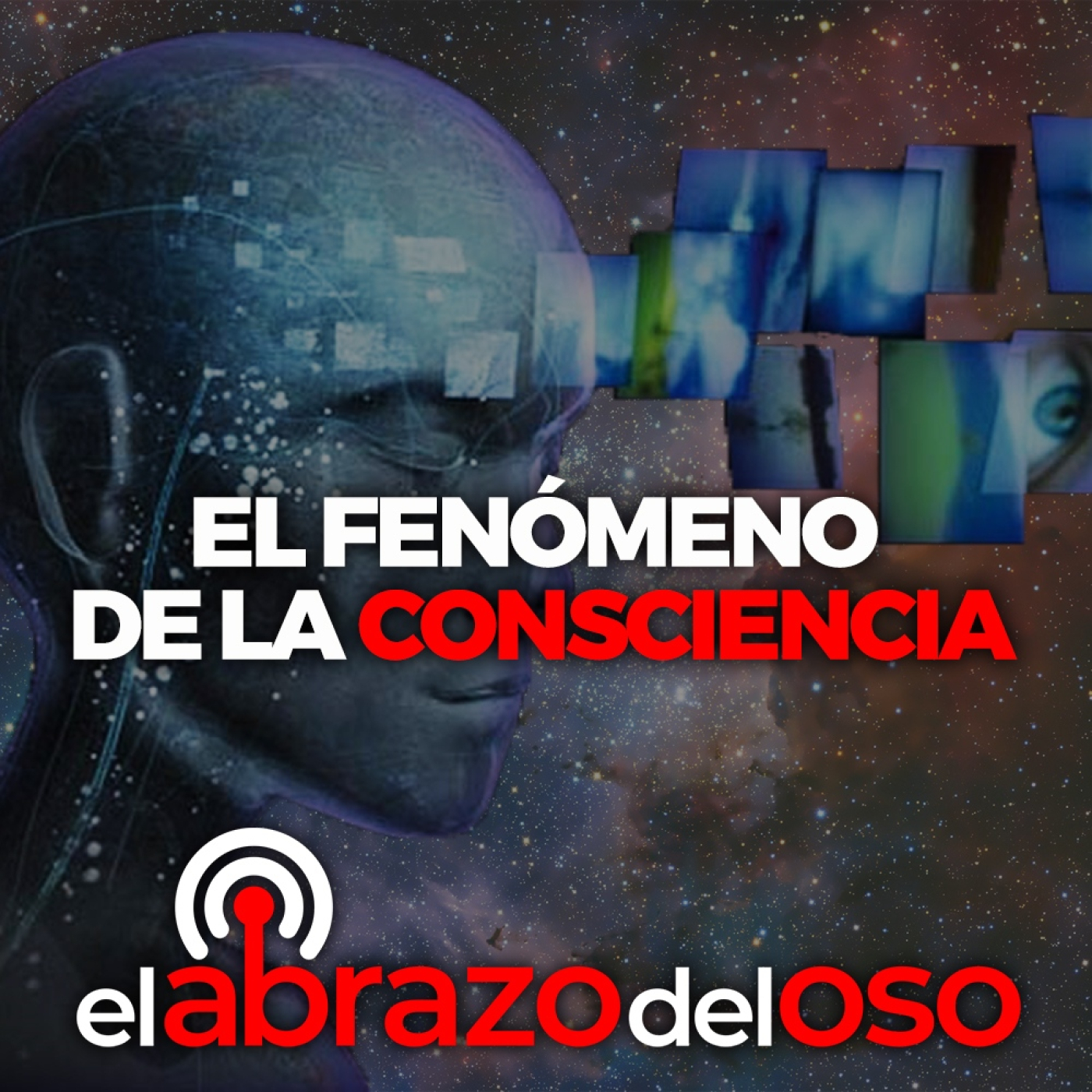 El fenómeno de la Consciencia - El Abrazo del Oso