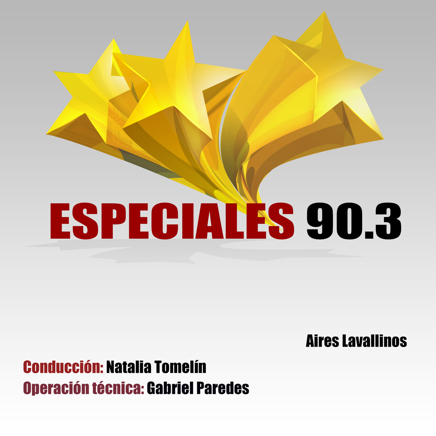Programas Fm Aires Lavallinos 2020
