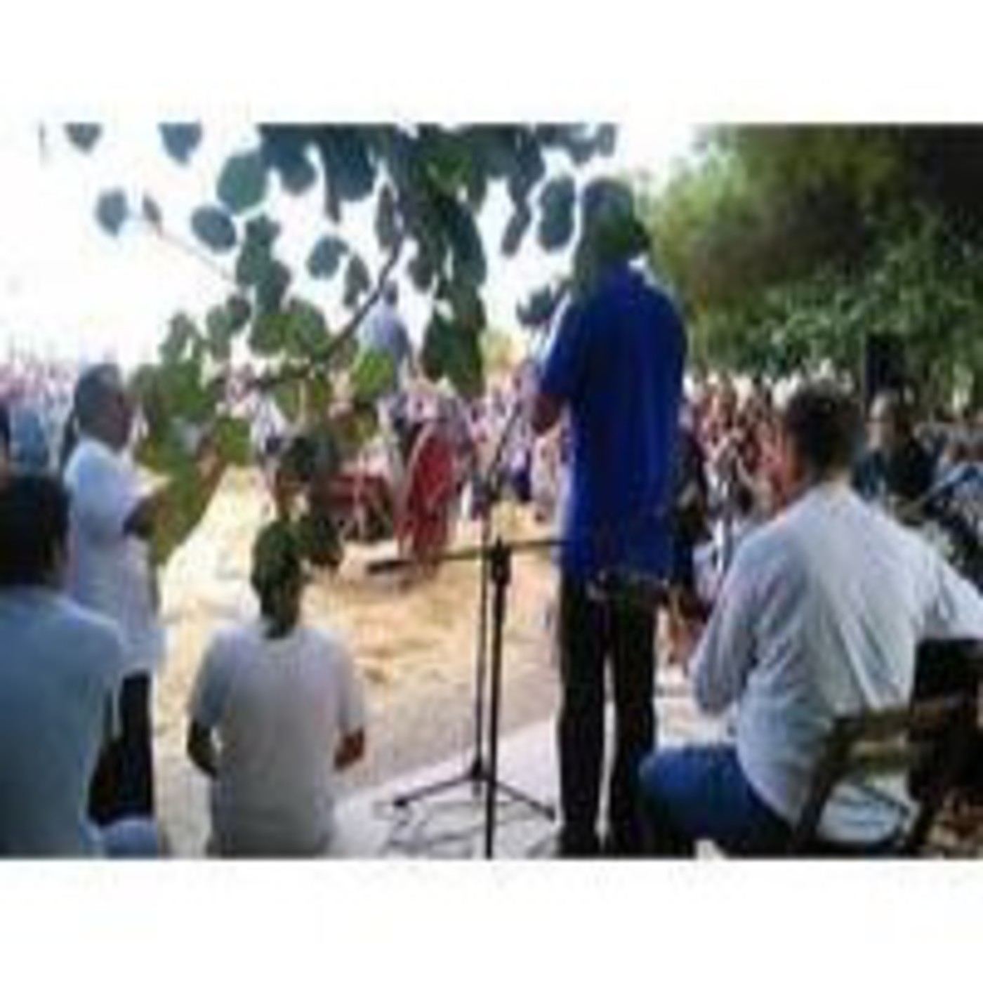 Podcast Ràdio Mistelera