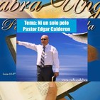Tema: Ni un solo pelo