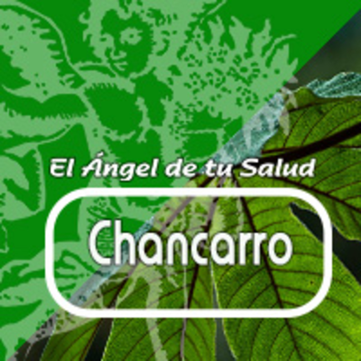 El Angel de tu Salud - CHANCARRO ** episode artwork