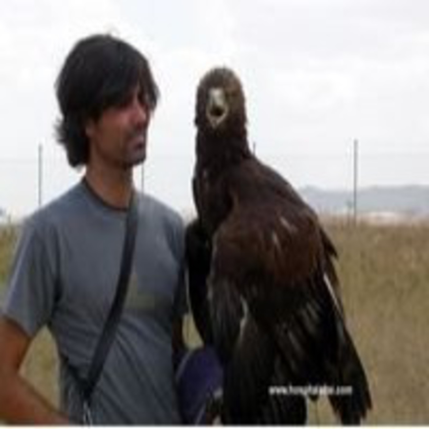 Levantamos el vuelo episode artwork