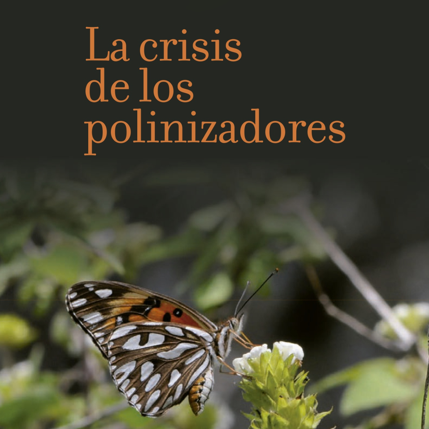 Ciencia para leer