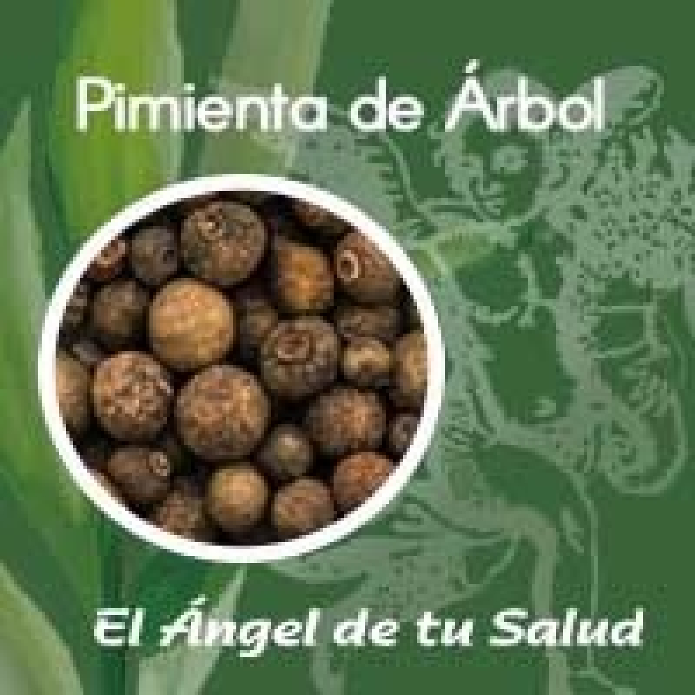 El Ángel de tu Salud - Pimienta de Árbol** episode artwork