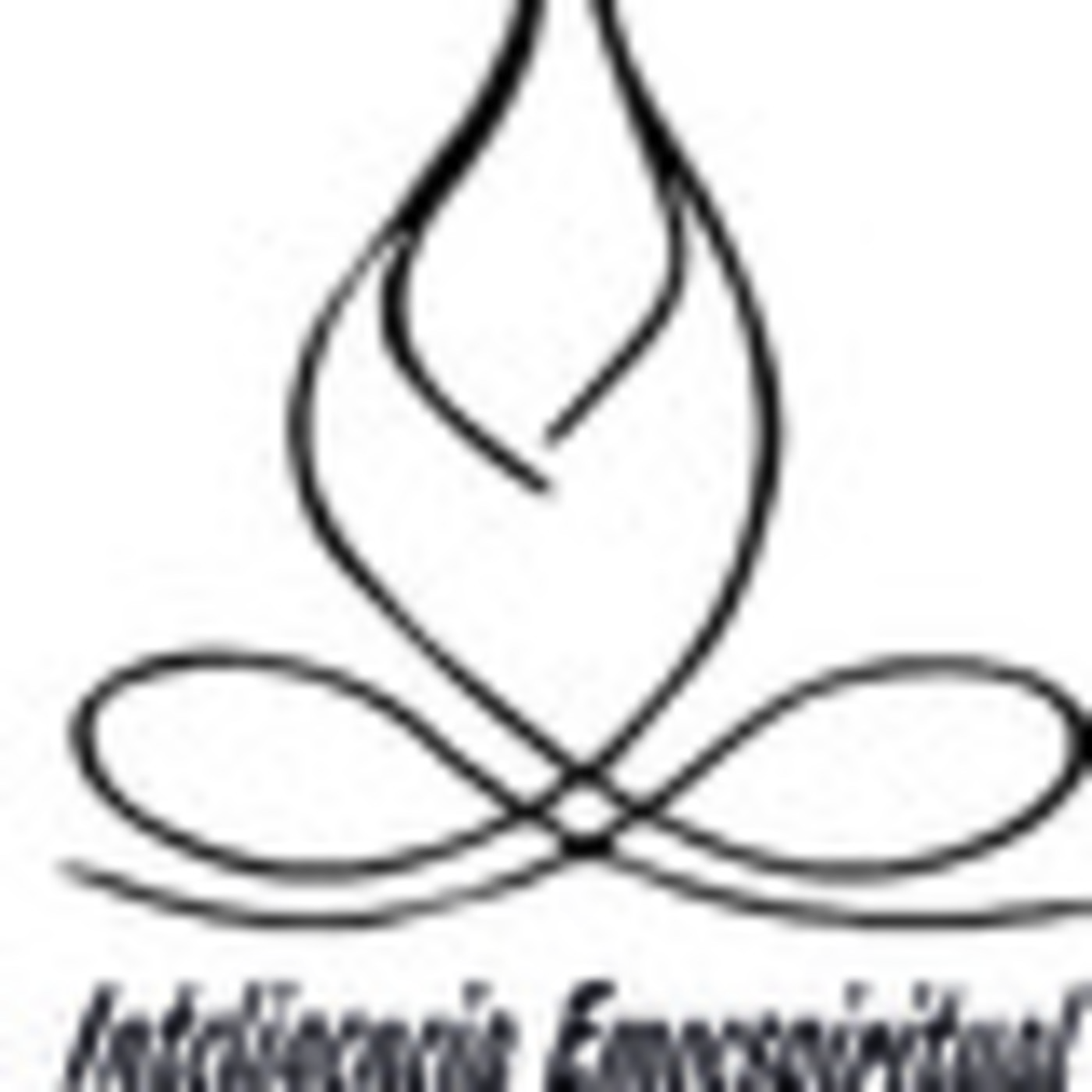 CLASES DE INTELIGENCIA EMOESPIRITUAL