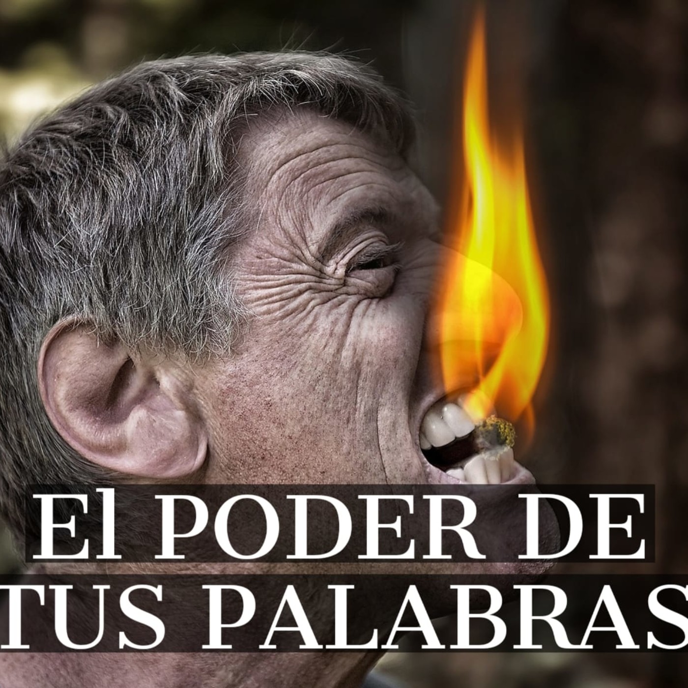 Palabra Diaria