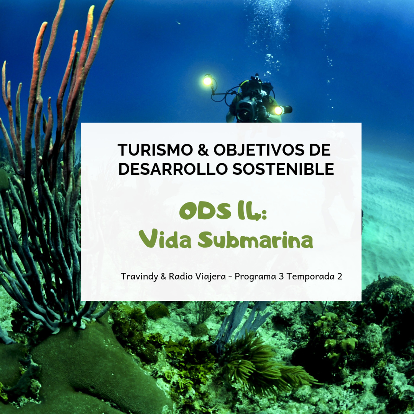 Turismo sostenible 2x03 - ODS 14: Vida Submarina