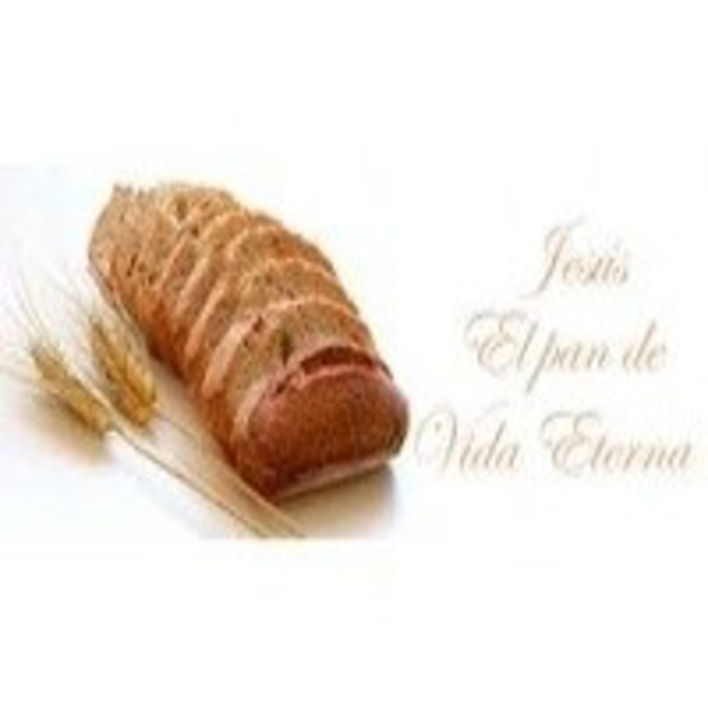 Himnos y cánticos