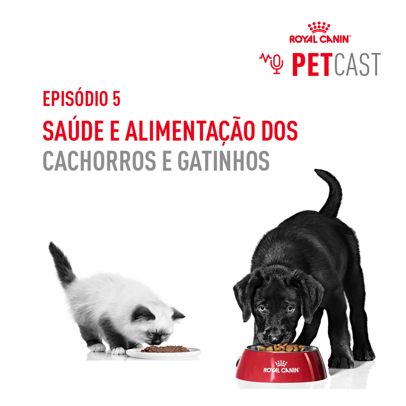 ROYAL CANIN PETCASTS PORTUGAL