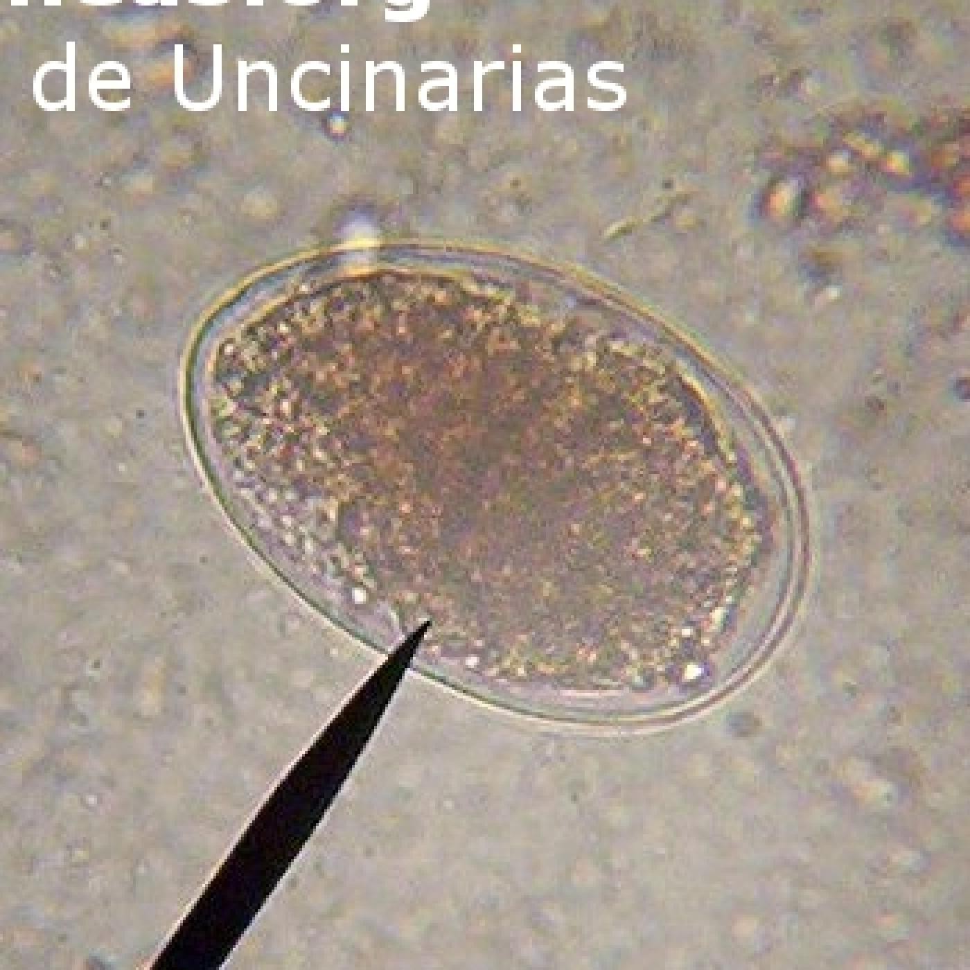 Taller de Investigación.