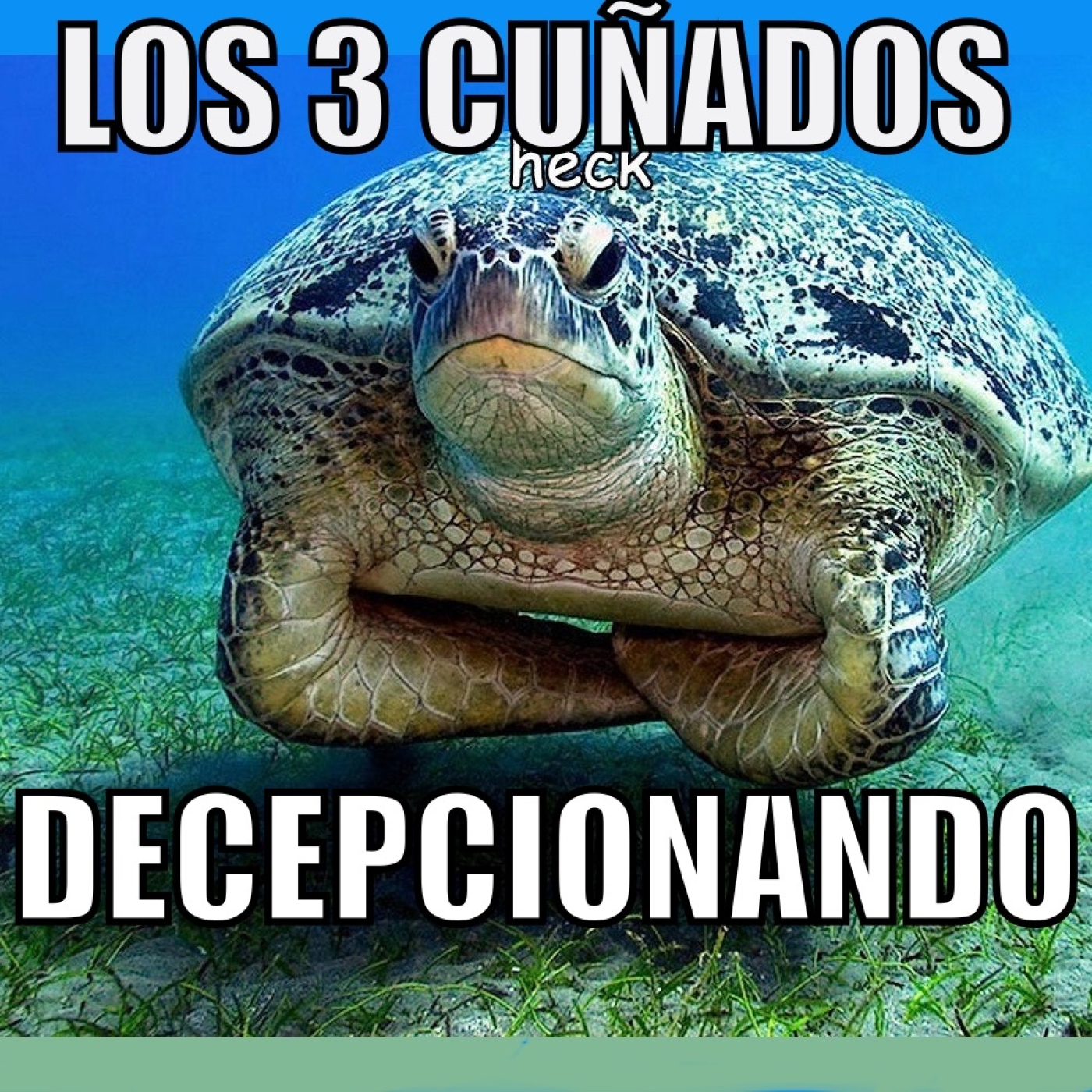 Los 3 Cuñados programa 120 - DECEPCIONANDO