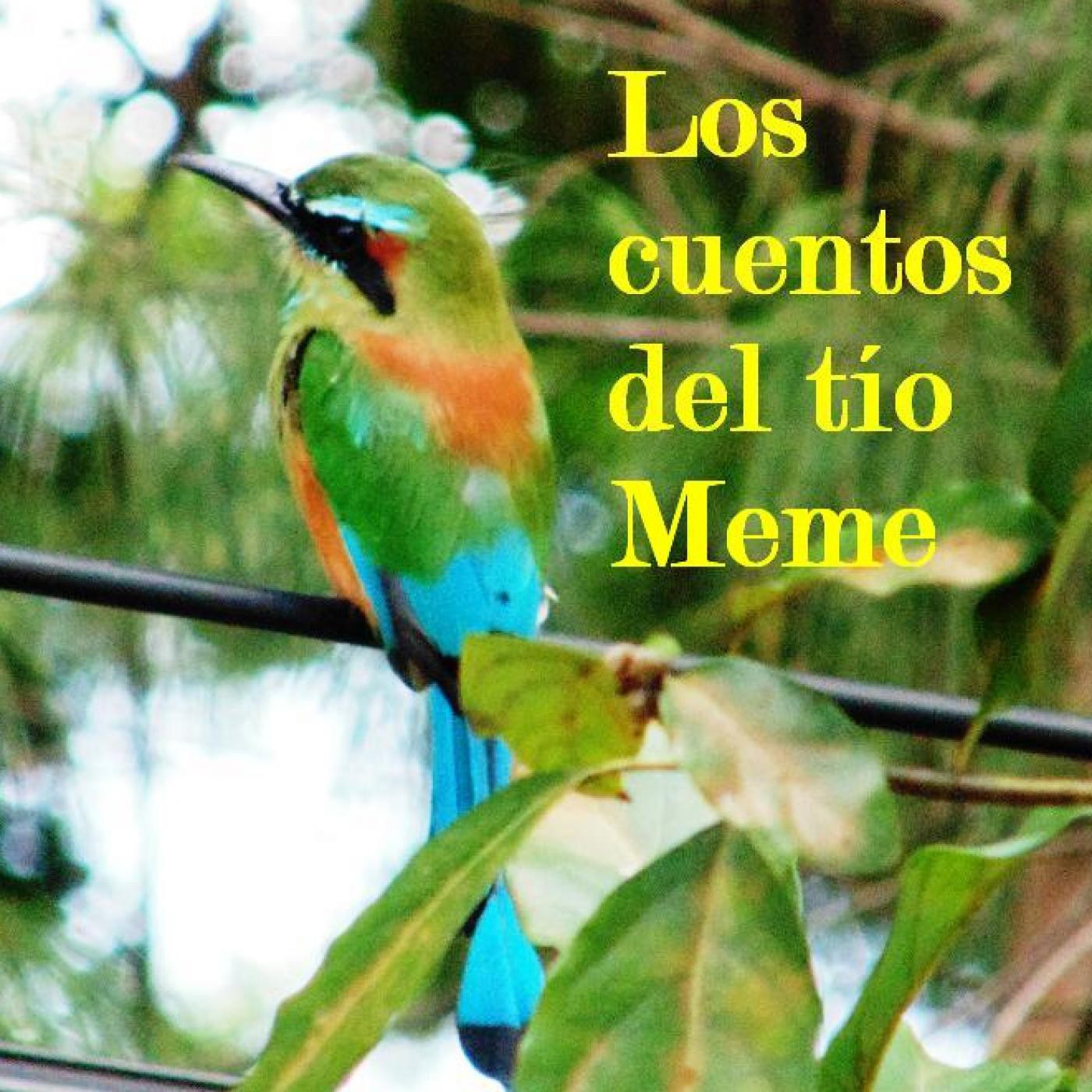 LOS CUENTOS DEL TÍO MEME