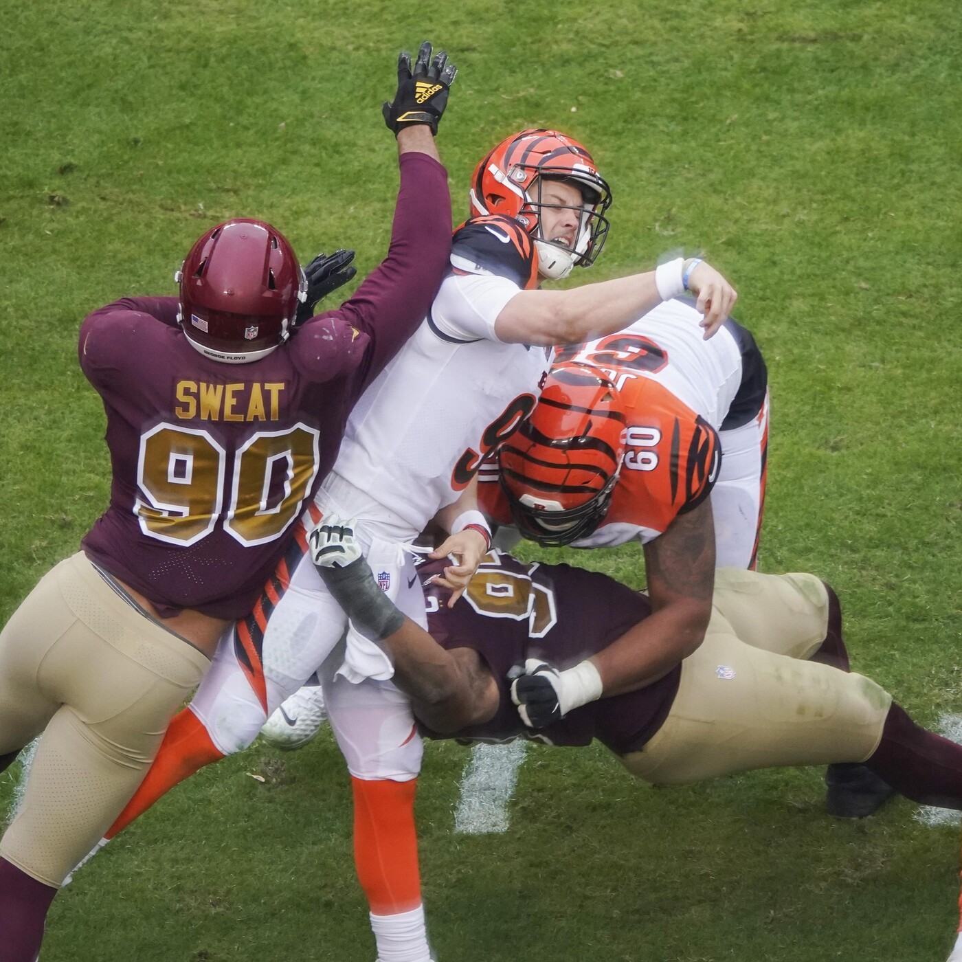 La Jungla Hispana - Bengals.es