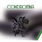 El Ángel de tu Salud - CONDROITINA