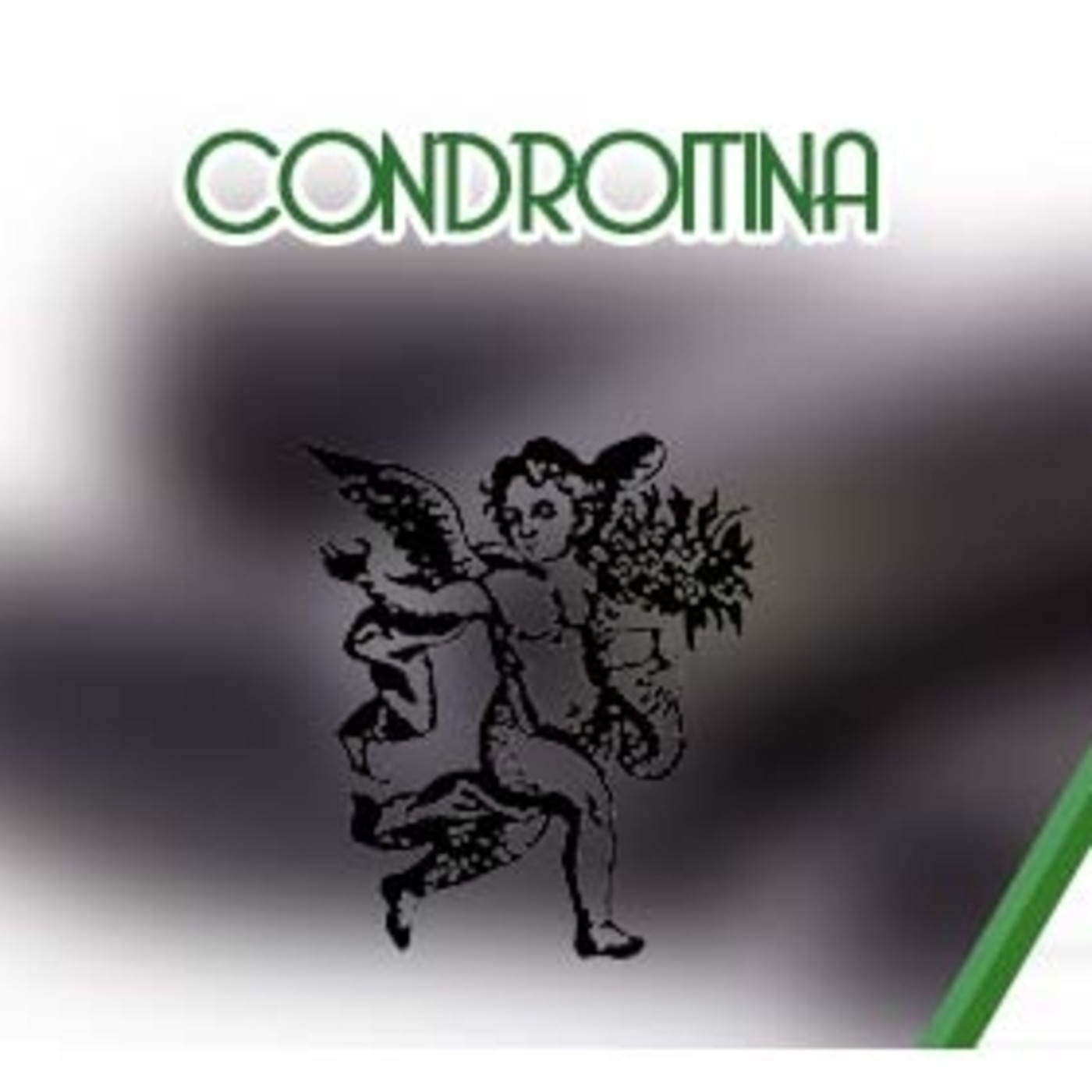El Ángel de tu Salud - CONDROITINA