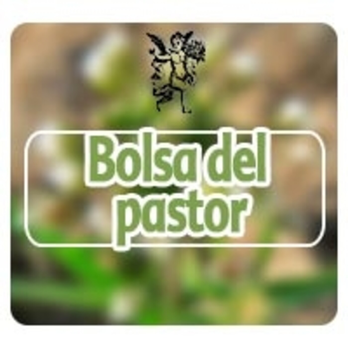 El Angel de tu Salud - BOLSA DE PASTOR