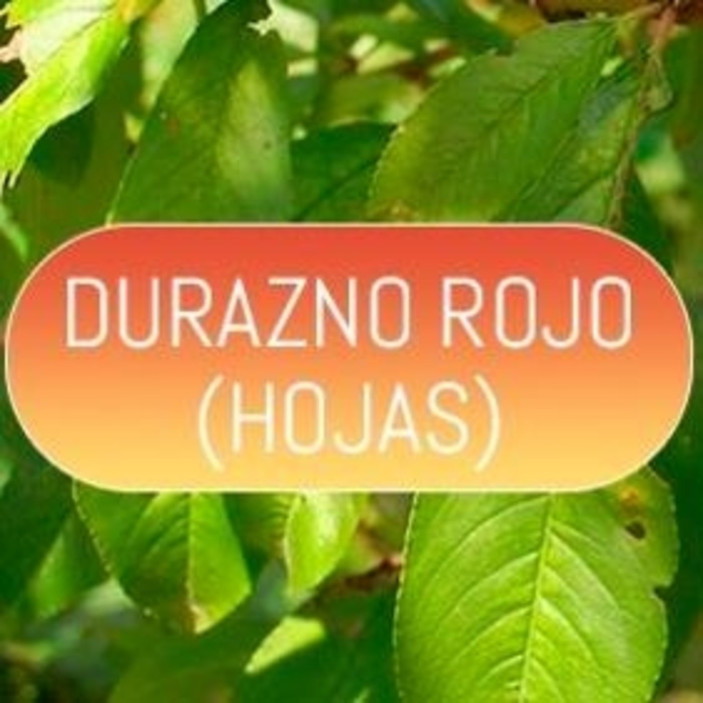 El Ángel de tu Salud - DURAZNO ROJO episode artwork