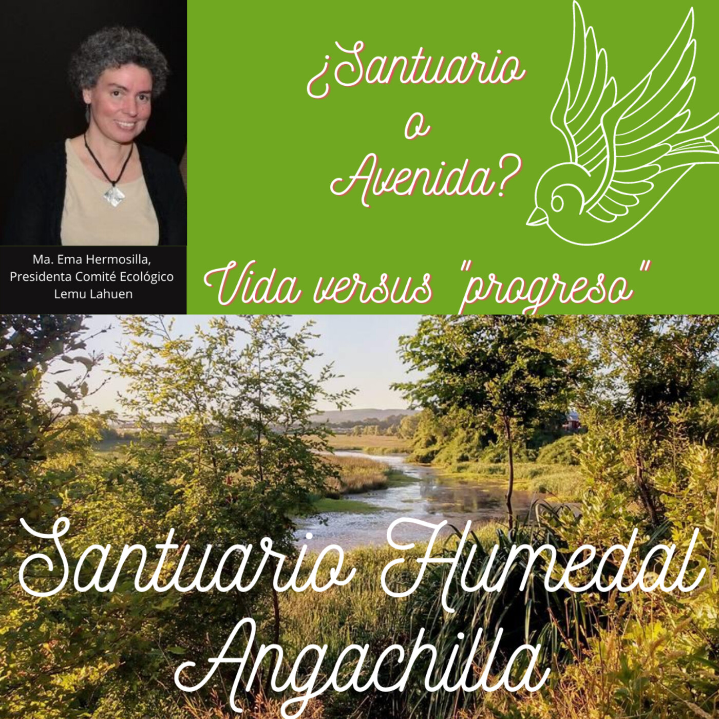 Últimos programas