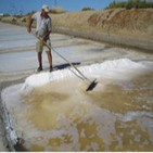 Valle Salado de Añana (agua de mar)