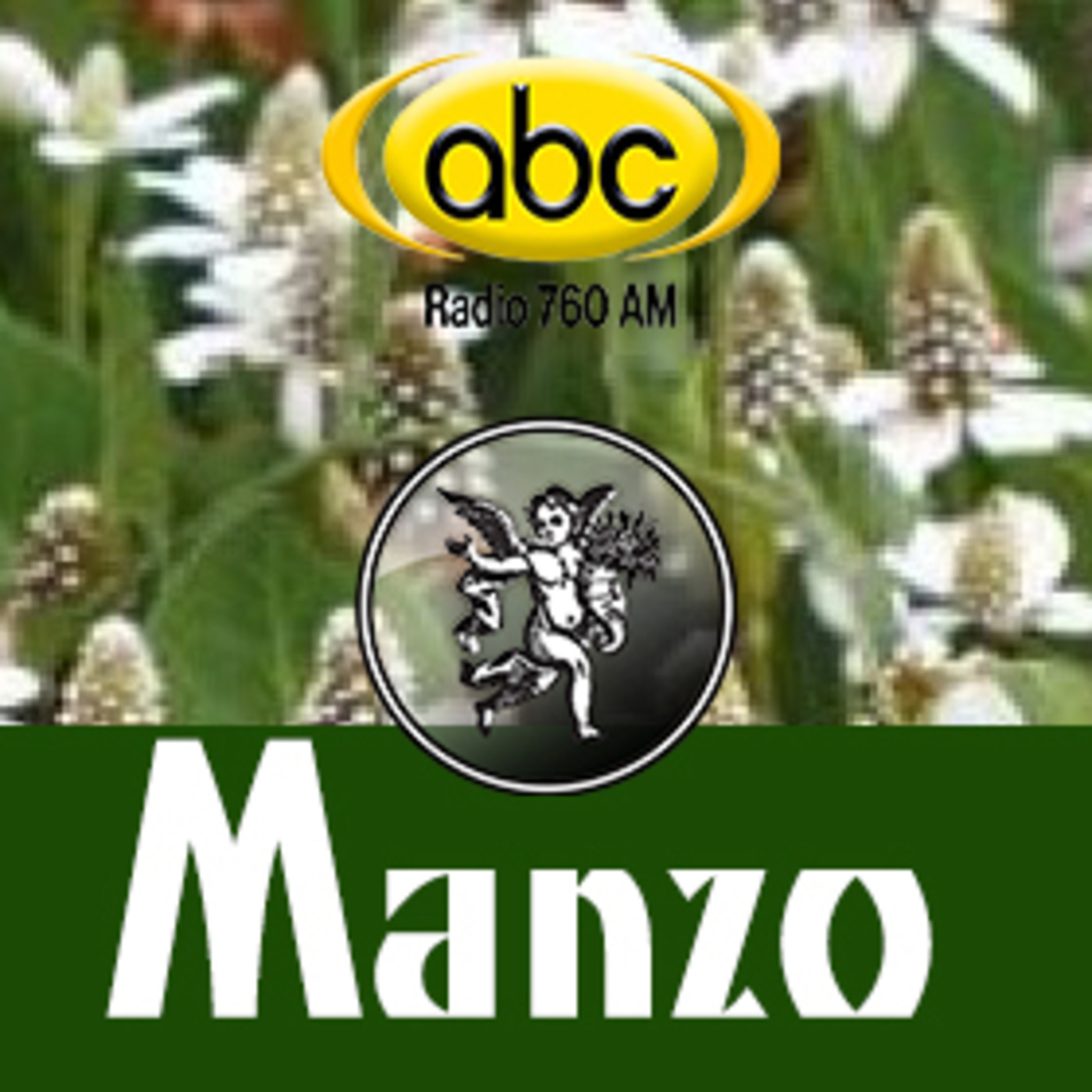 El Ángel de tu Salud - MANZO II episode artwork