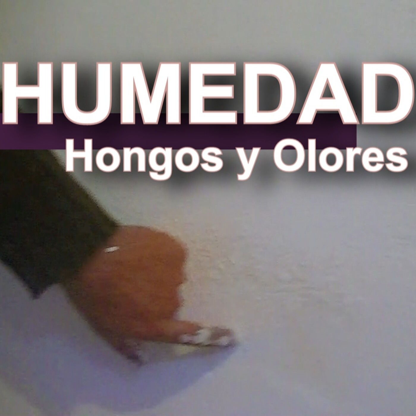 La Solución Construcciones