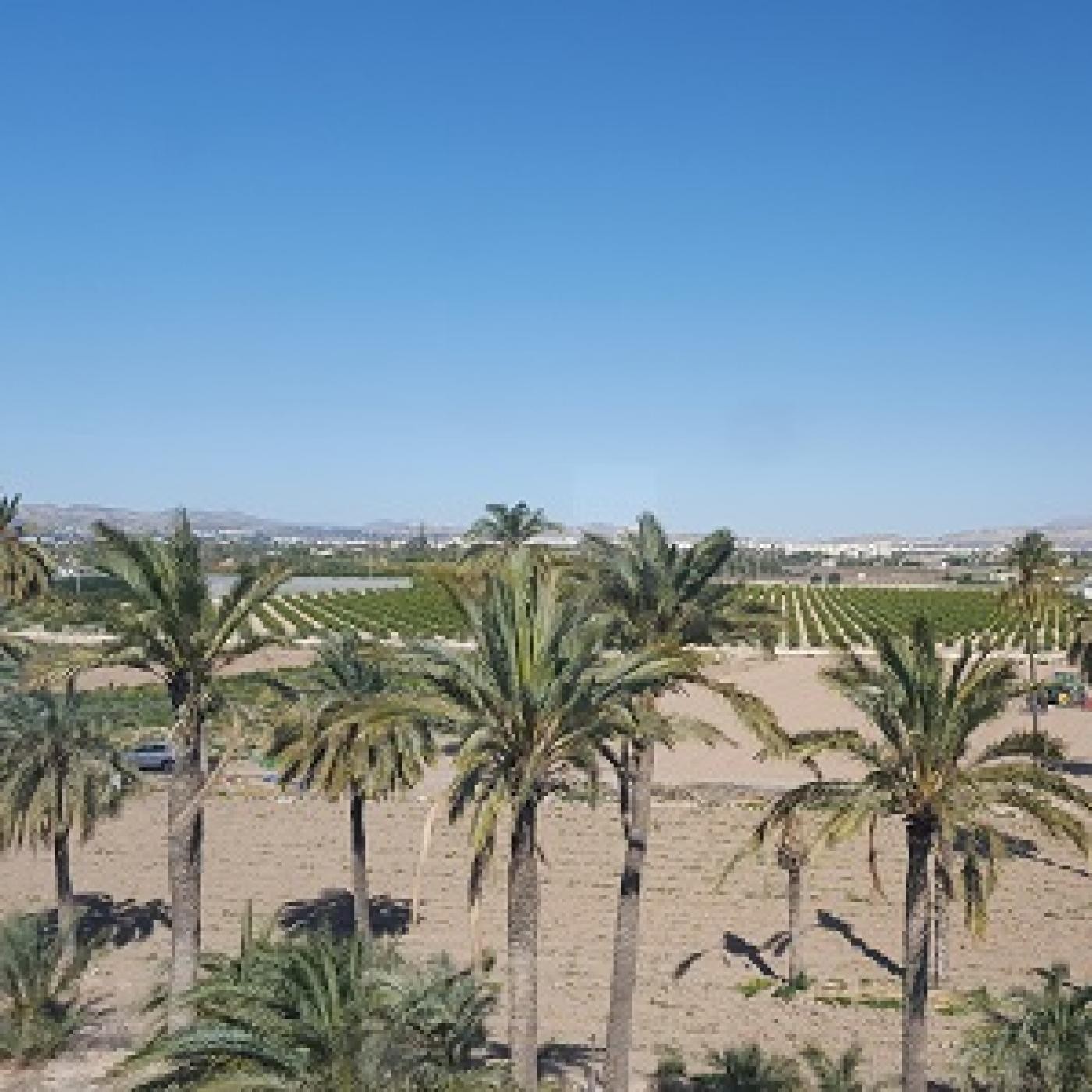Los fines de semana. \'Un recorrido por las pedanía