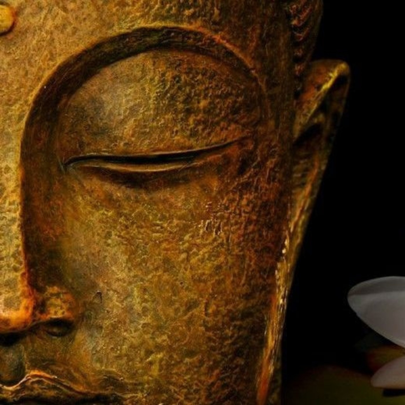 Frecuencia Dharma