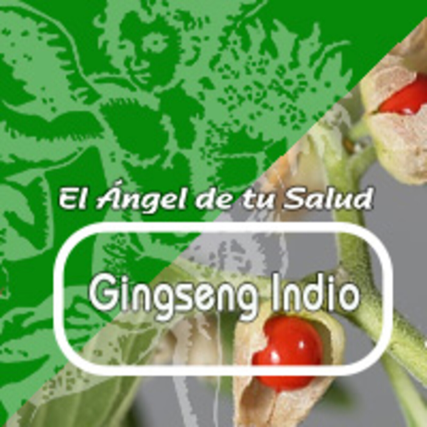 El Angel de tu Salud - GINGSENG INDIO *** episode artwork