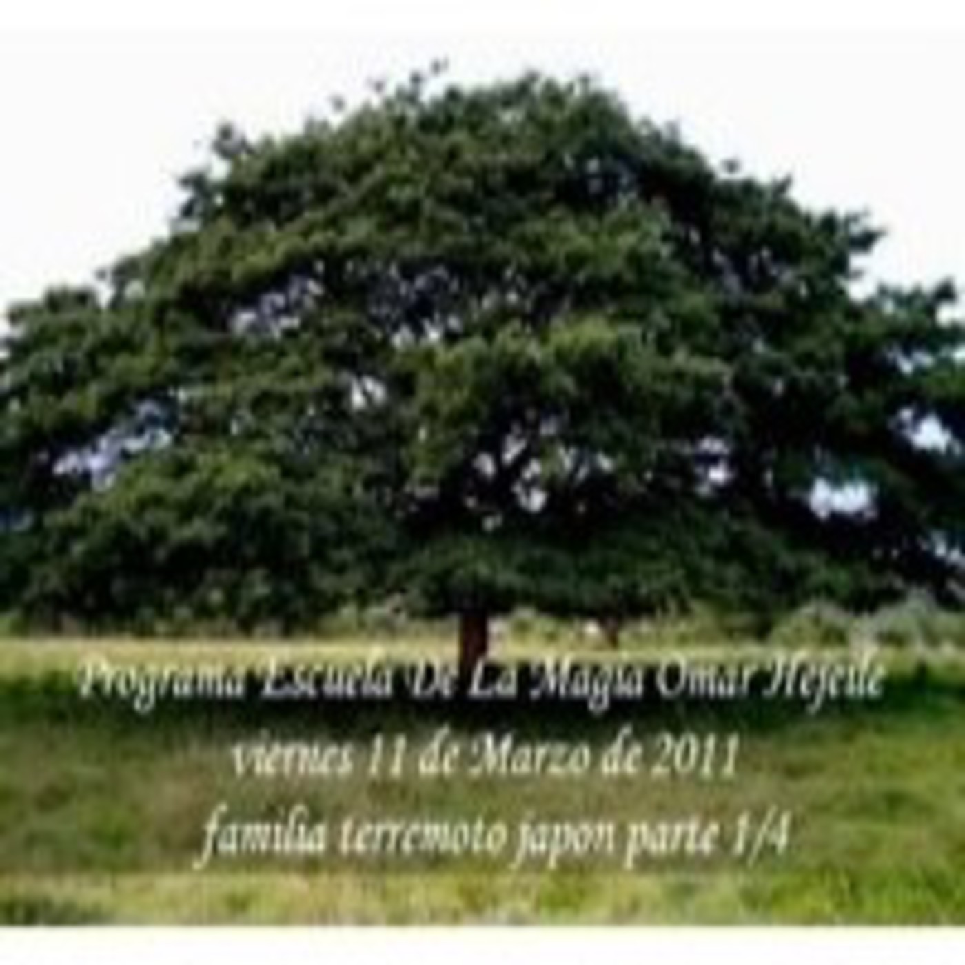 Programas Escuela de Magia (Recopilación)