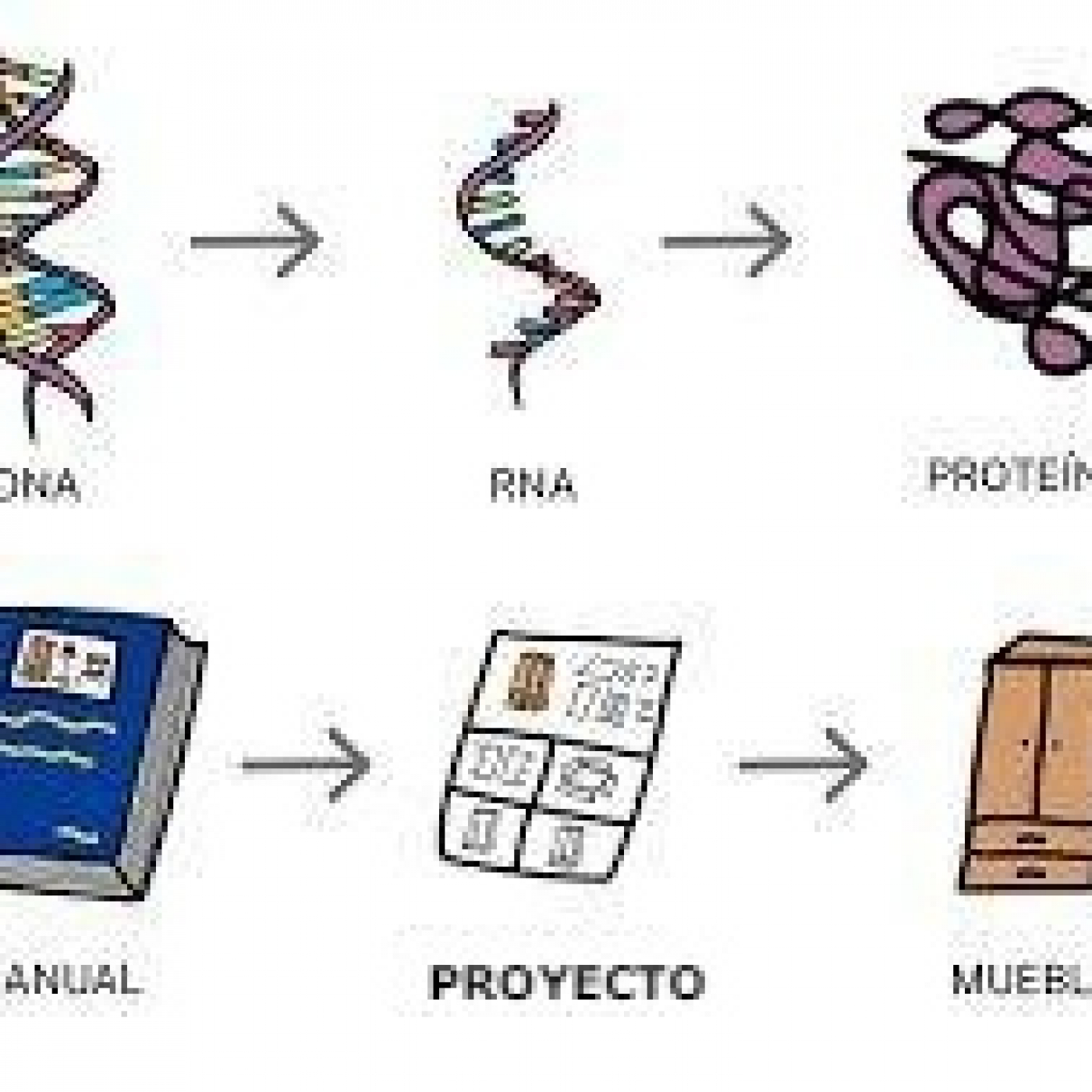 Ultraproductividad Integral I