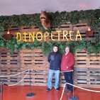 Palabras - dinopetrea zaragoza -