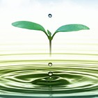 ENTREVISTA: El medio ambiente en el verano