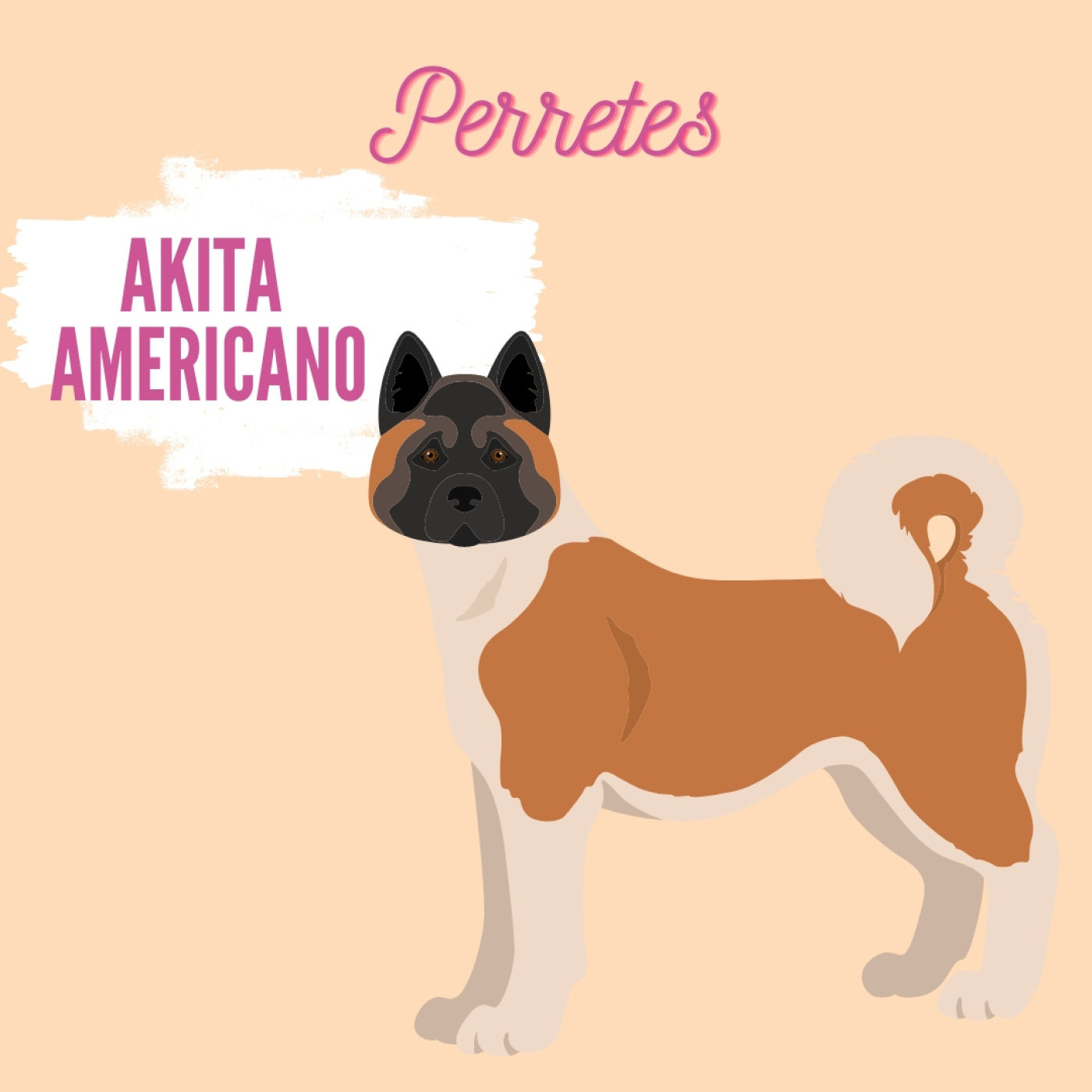 Perretes | Las razas de perros