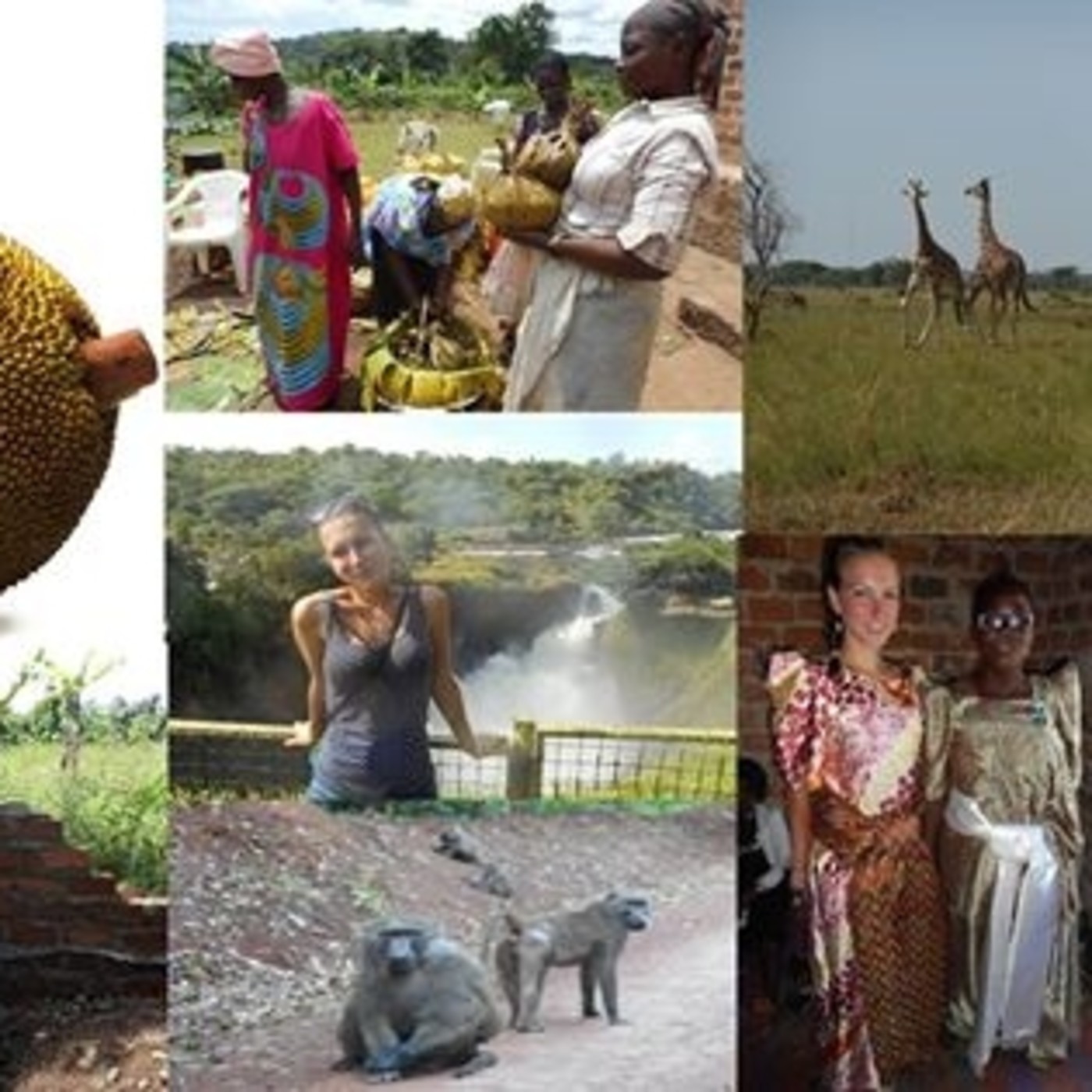 Mustar FM [EVS] 2016