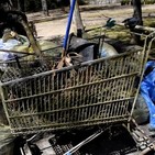 InfoMACLM_04042017