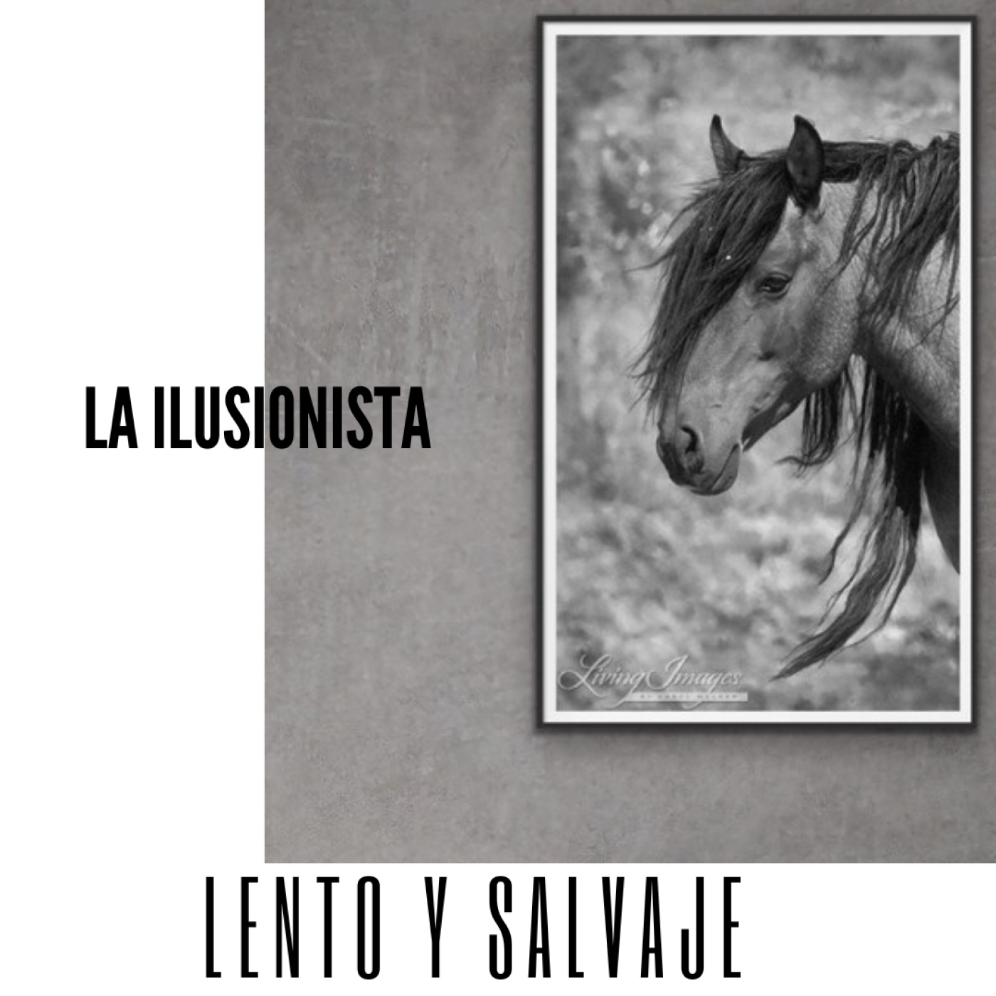 La Ilusionista
