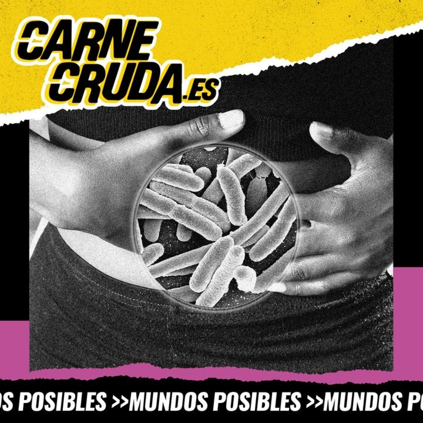 Carne Cruda - PROGRAMAS